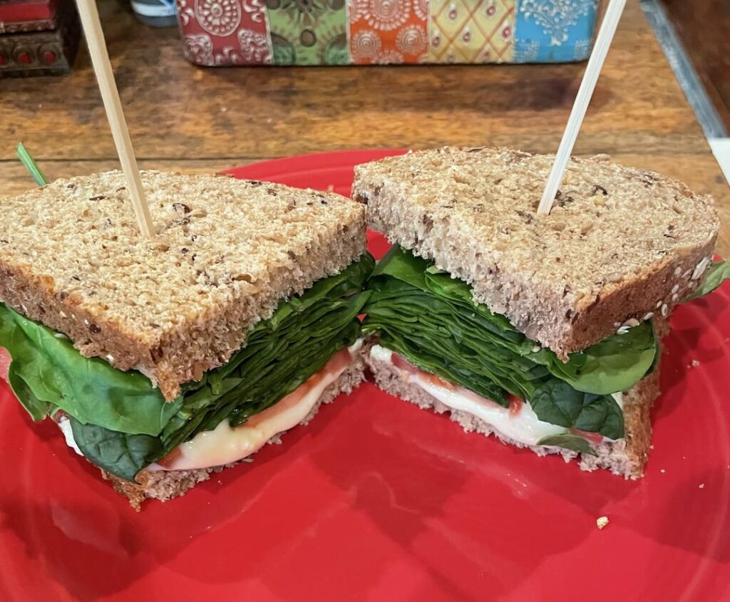My favorite vegetarian sandwich