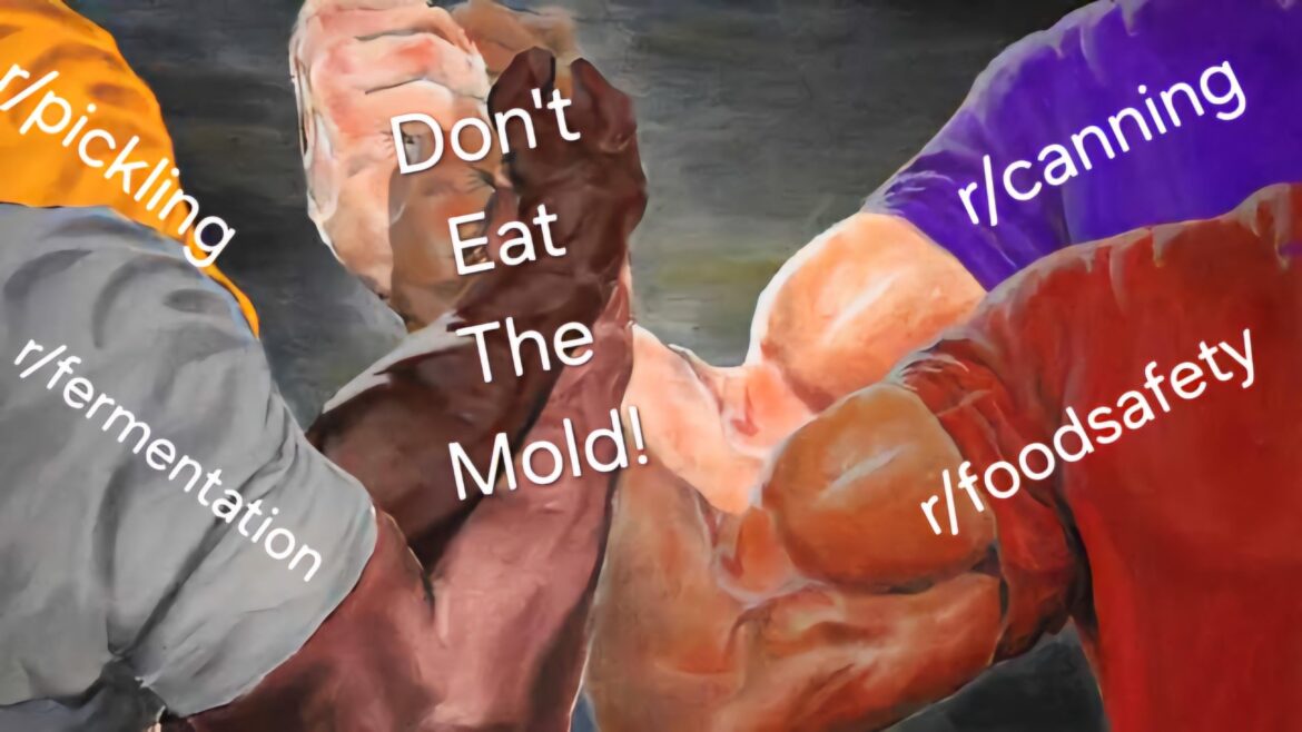 Don't eat the mold!