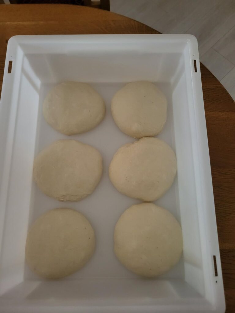 Fresh neapolitan pizza - advice welcome!