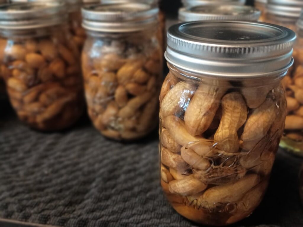 21 pounds of green peanuts yielded 14 quarts and 40 pints.