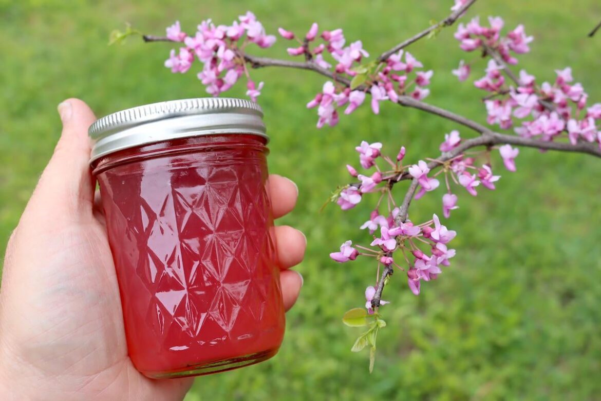 Red bud jelly