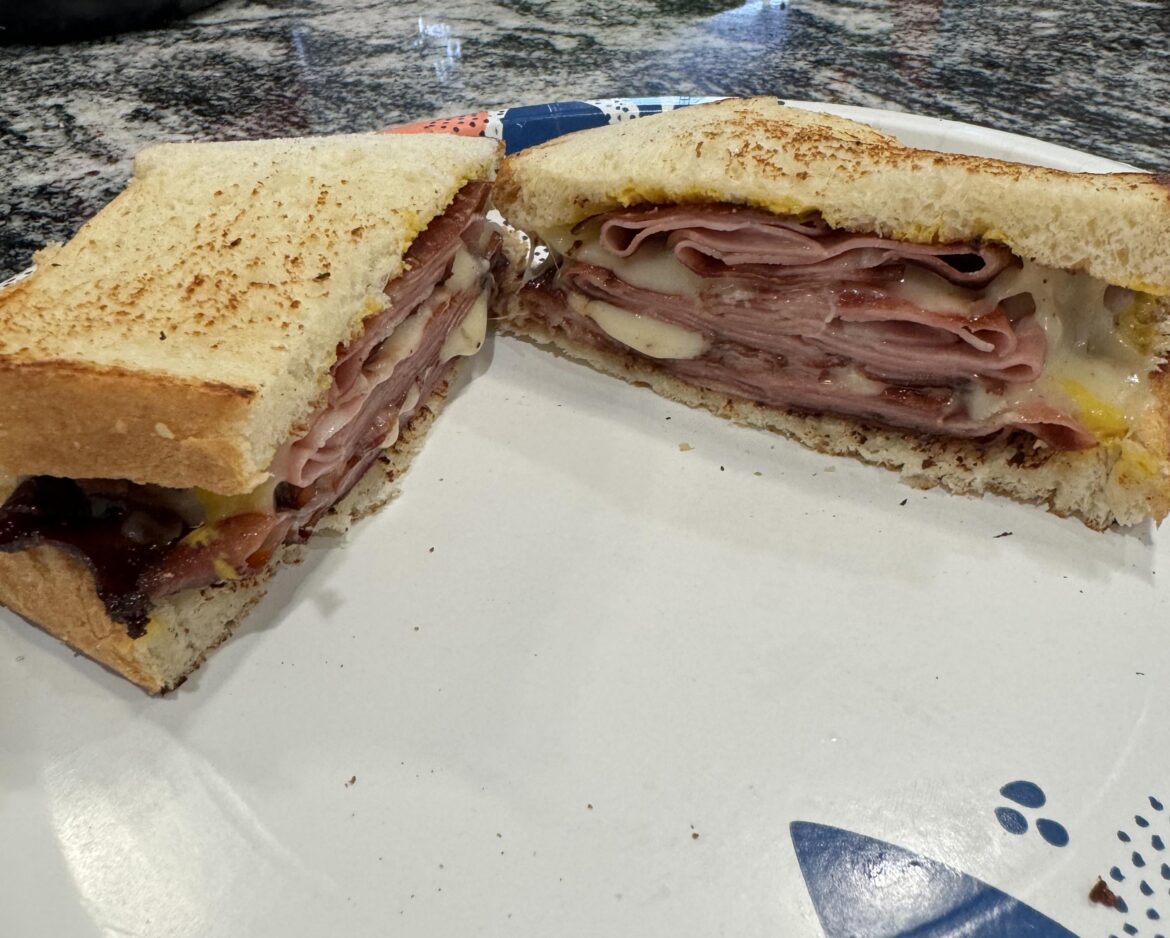 Mortadella And Swiss For Lunch