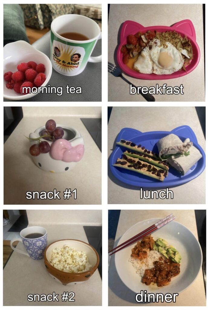 Finally got around to taking pictures of a full eating day!