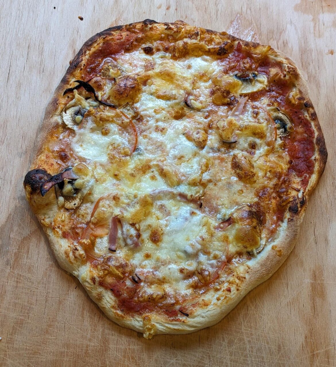 My first! Do you knead your poolish pizza? My dough didnt come out great.