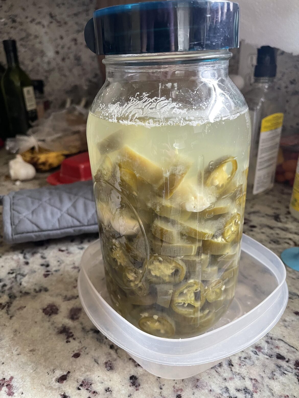 Lactofermented garlic jalapenos!