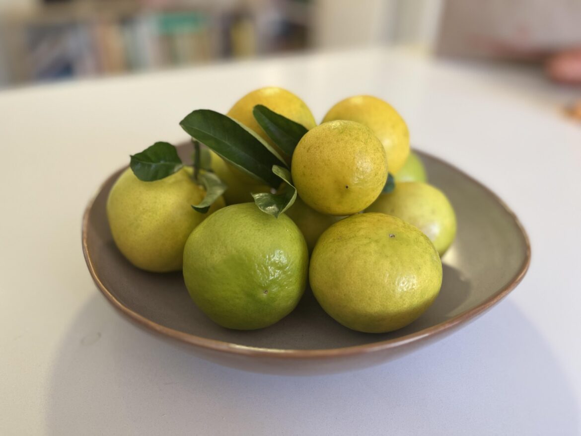 Sweet lemons - inspo?
