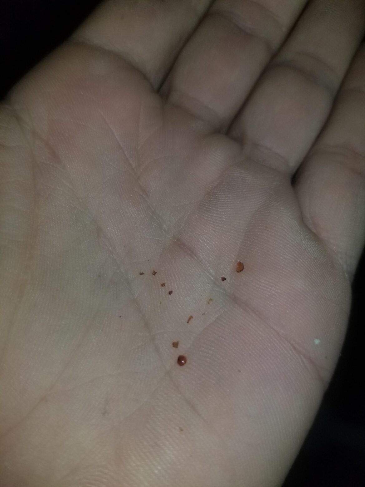 Anyone know what this is? Anyone know what this is?