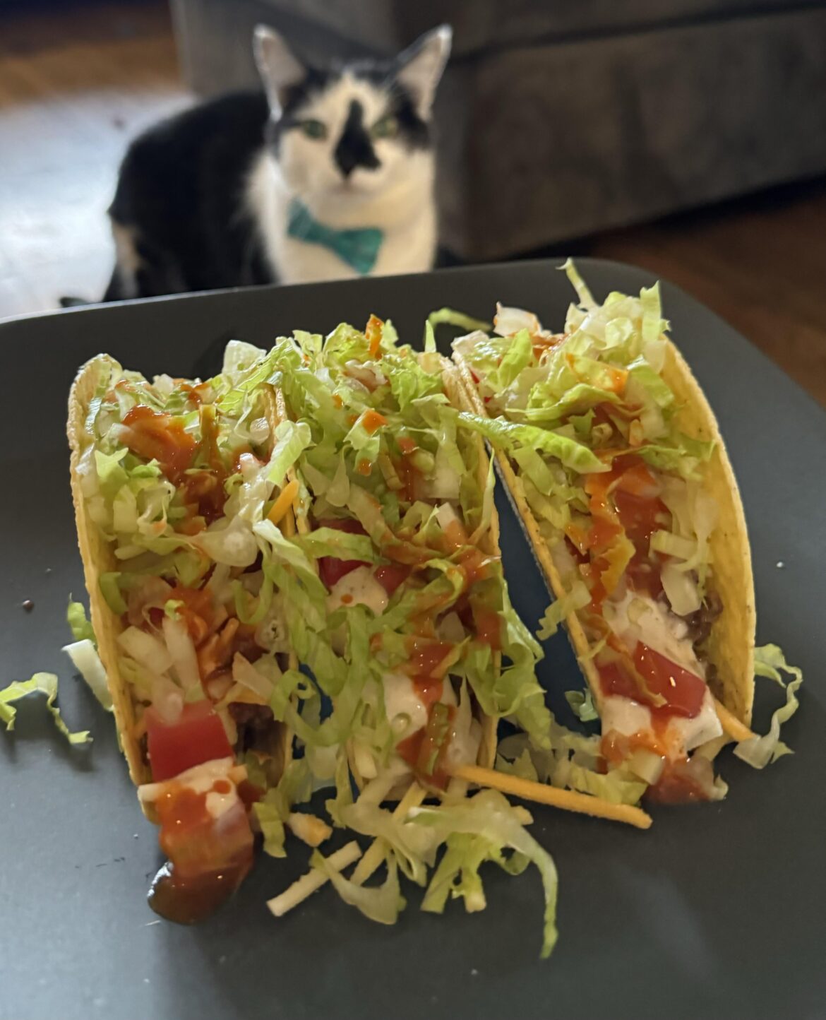I copied u/Alextricity ‘s post. White Midwest taco night