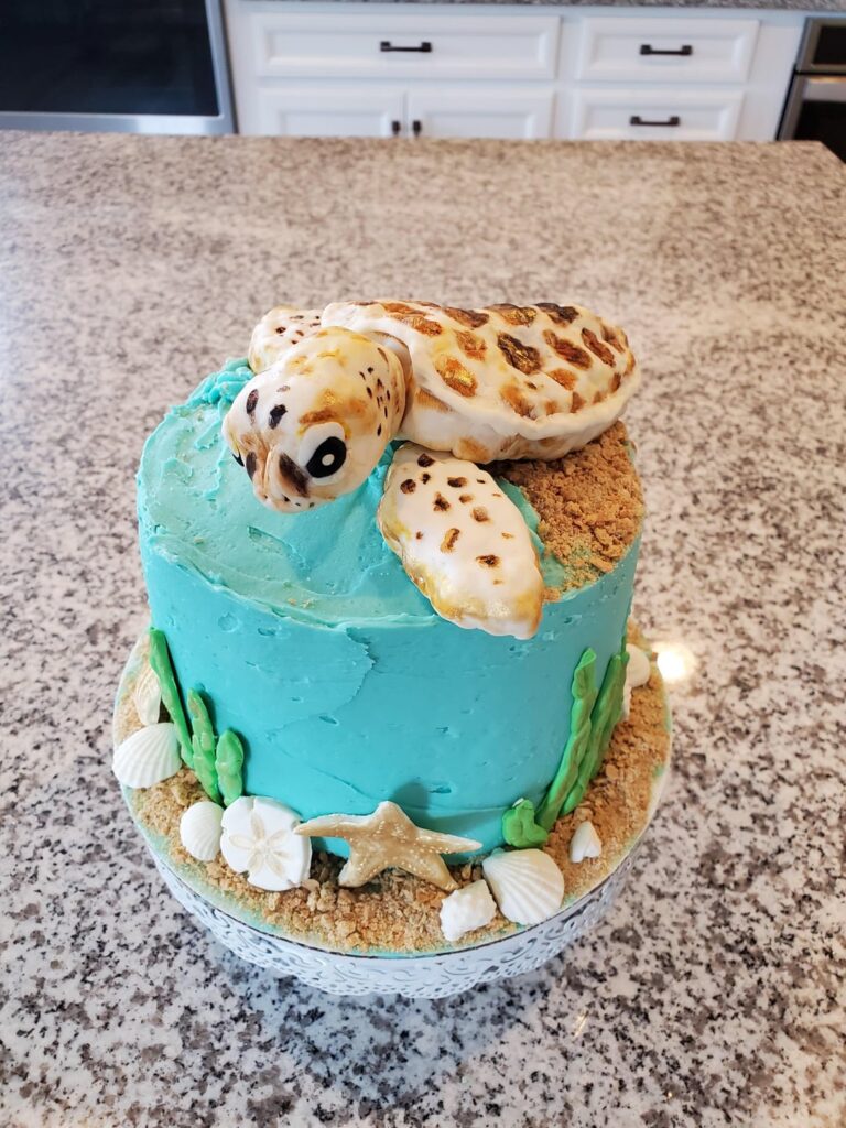 Sea turtle cake for my son's birthday