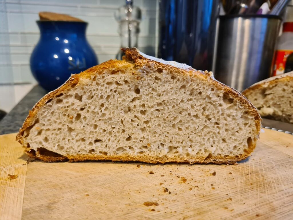 What did I do wrong? What did I do wrong?