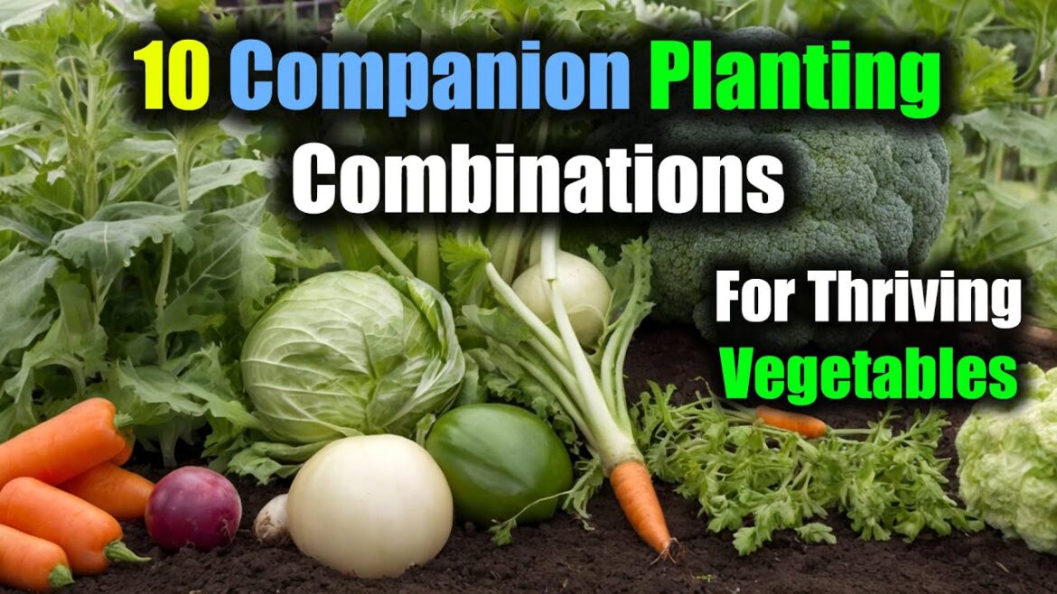 10 Perfect Companion Planting Combinations for Thriving Vegetables