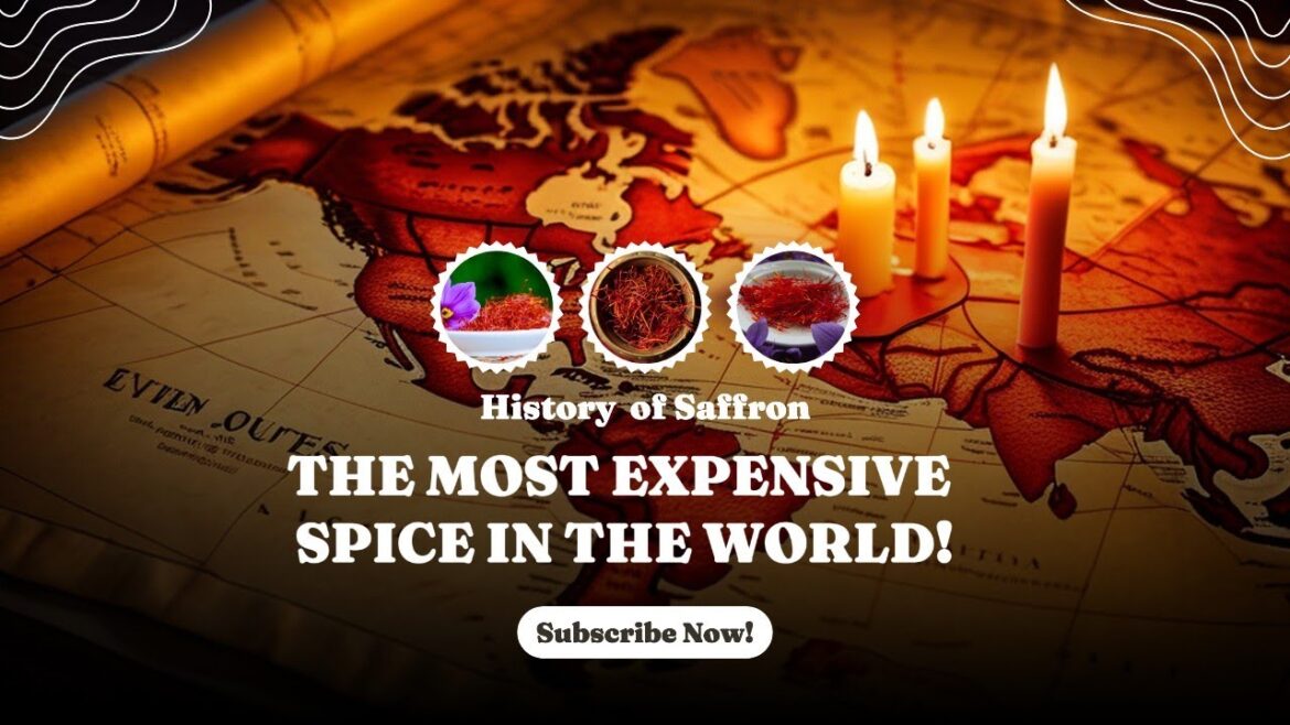 All About Saffron The Most Expensive Spice in the World