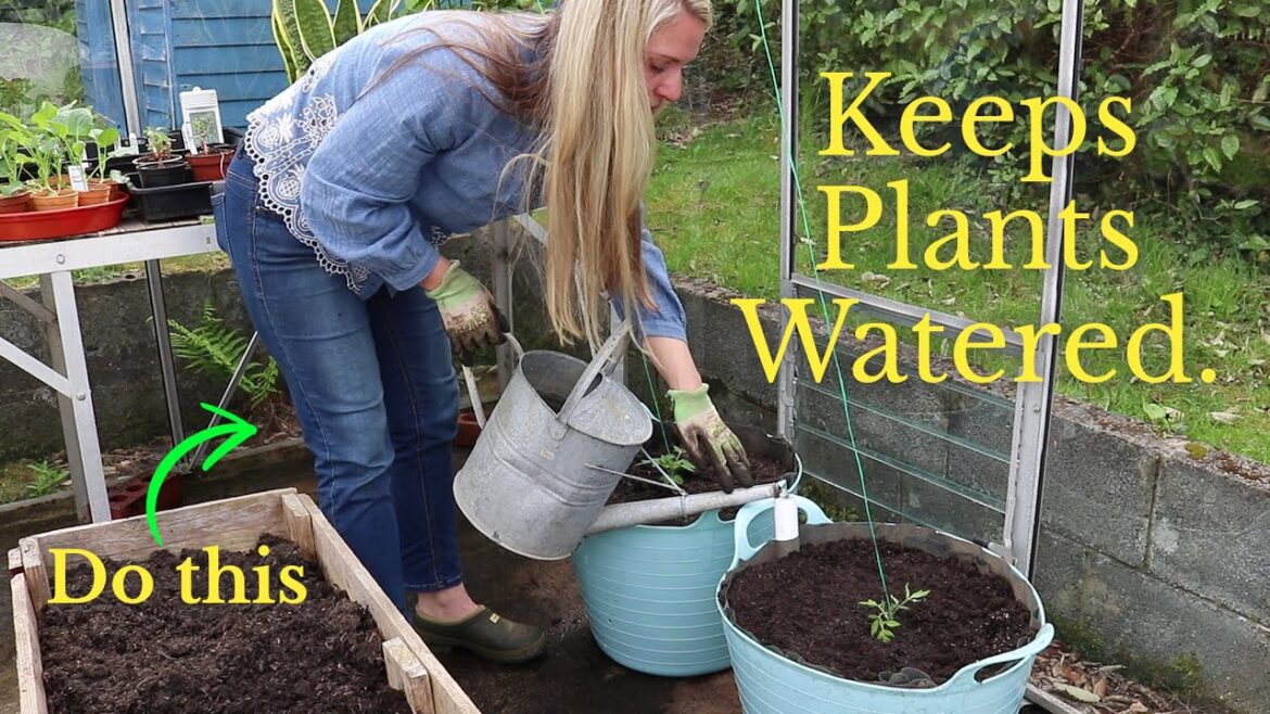 DIY Self Watering Planter for Container Vegetable Gardens (Wicking Pot)