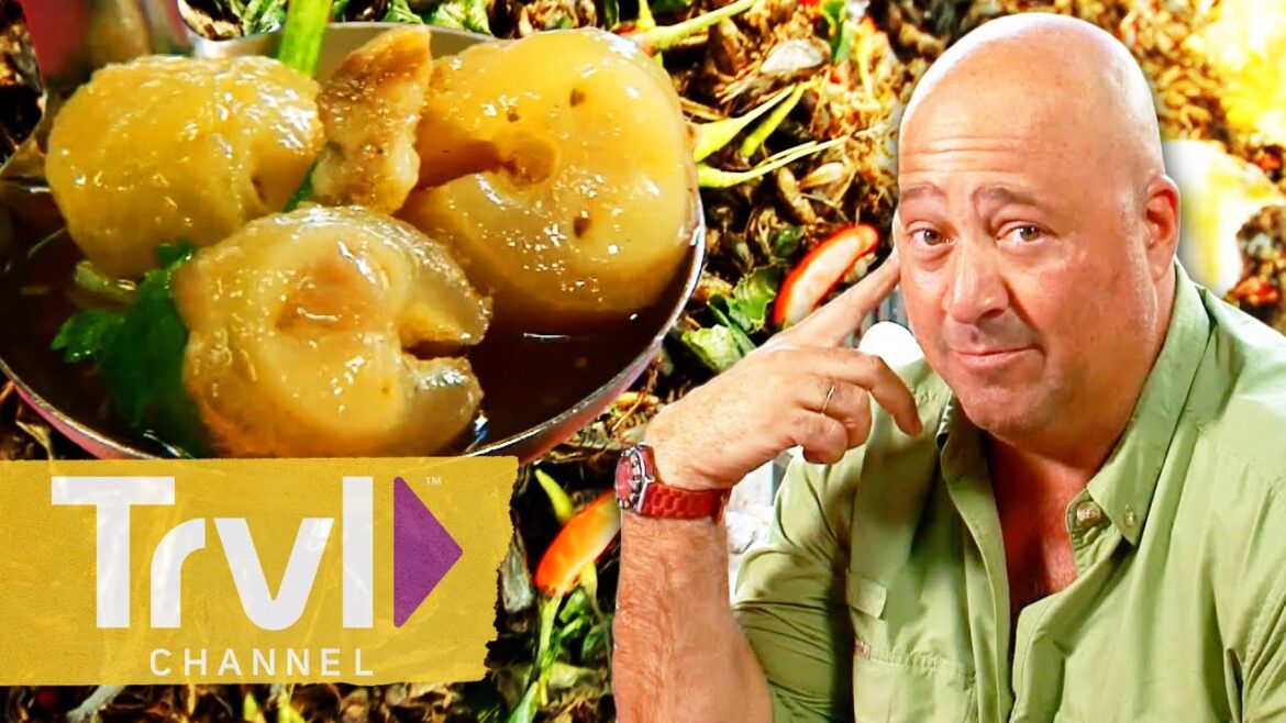 UNFORGETTABLE Meals from Seasons 2 & 3 | Bizarre Foods with Andrew Zimmern | Travel Channel UNFORGETTABLE Meals from Seasons 2 & 3 | Bizarre Foods with Andrew Zimmern | Travel Channel