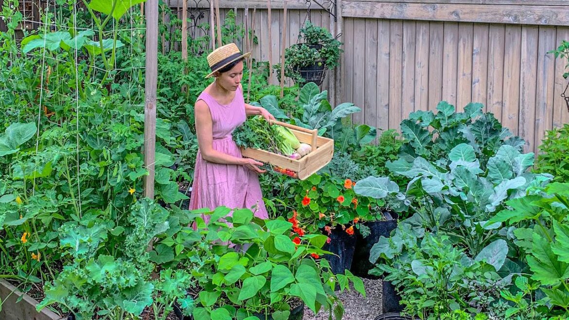 Garden grocery July 2023 Garden grocery July 2023