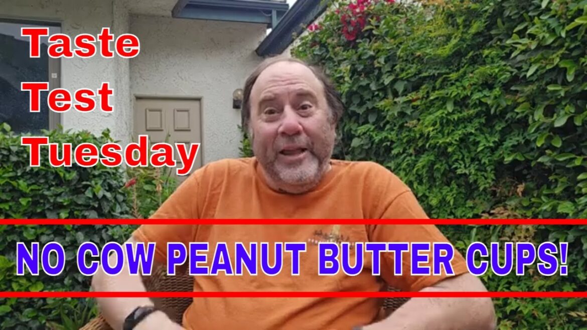 Taste Test Tuesday: Trying No Cow Peanut Butter Cups! Taste Test Tuesday: Trying No Cow Peanut Butter Cups!