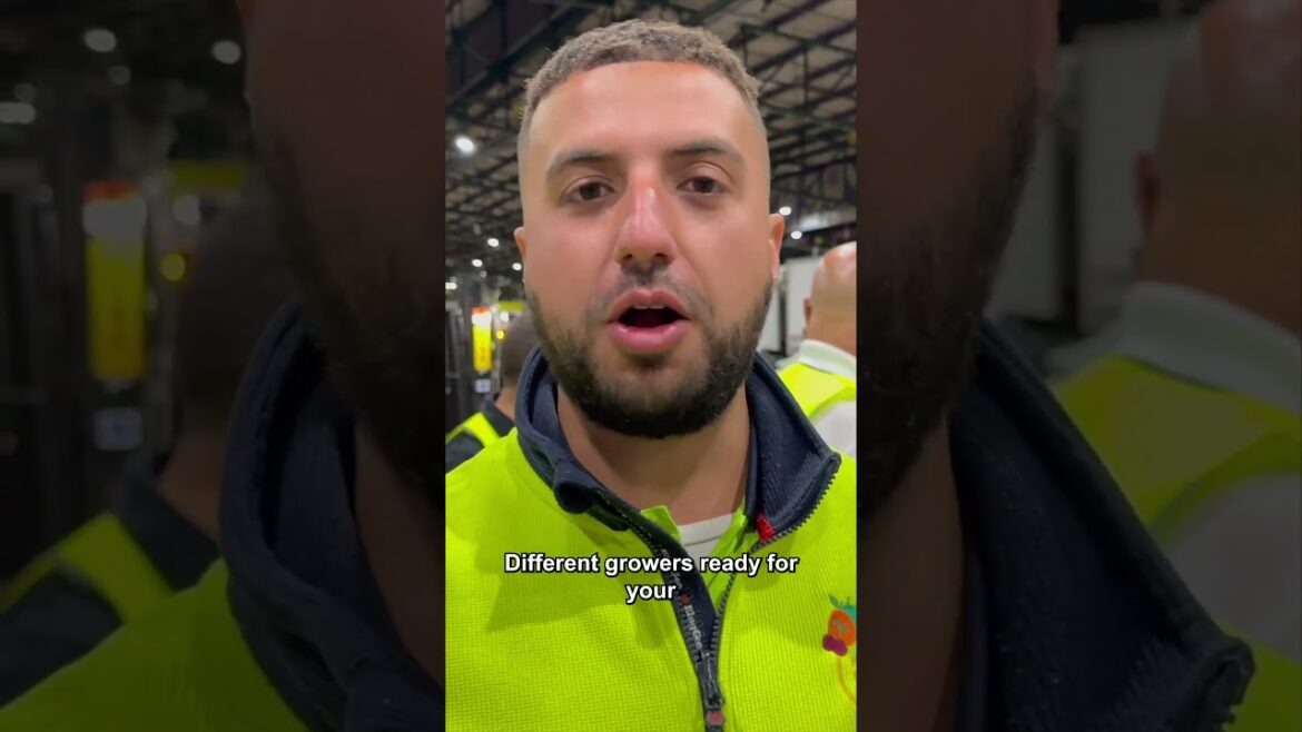 Best Vegetables in Australia