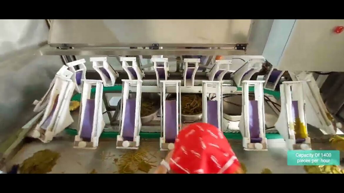 Automatic Stuffed Grape Cabbage Leaf Rolling Machine - Grape Leaves, Mulberry leaves, Cabbage leaves