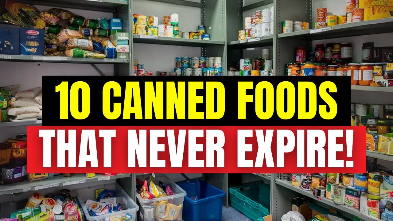 10 Canned Foods With Longest Shelf Life (MUSTHAVE) Dining and Cooking
