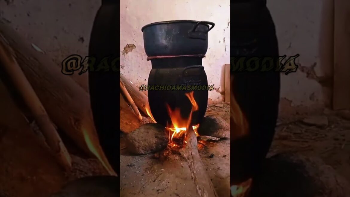 Delicious Snail Dishes from Around the World Recipes