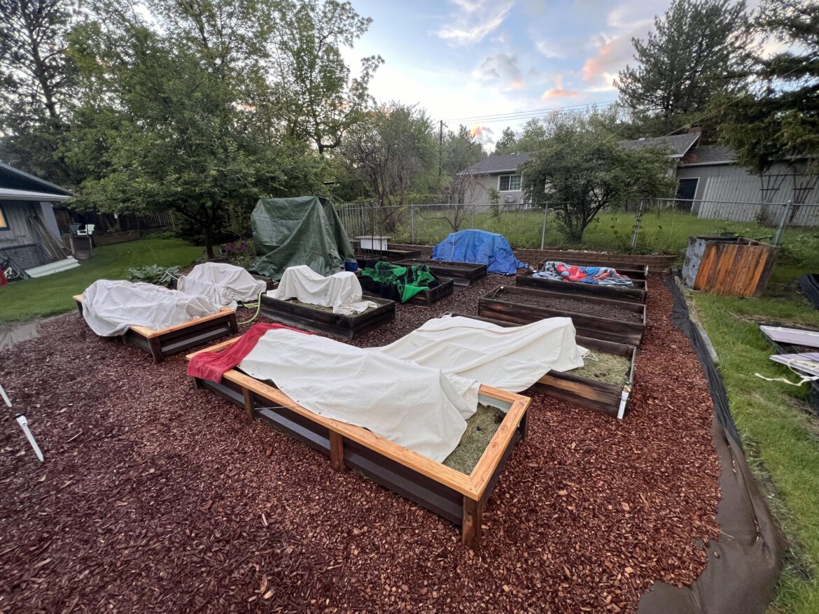 When May in Montana Throws a Curveball