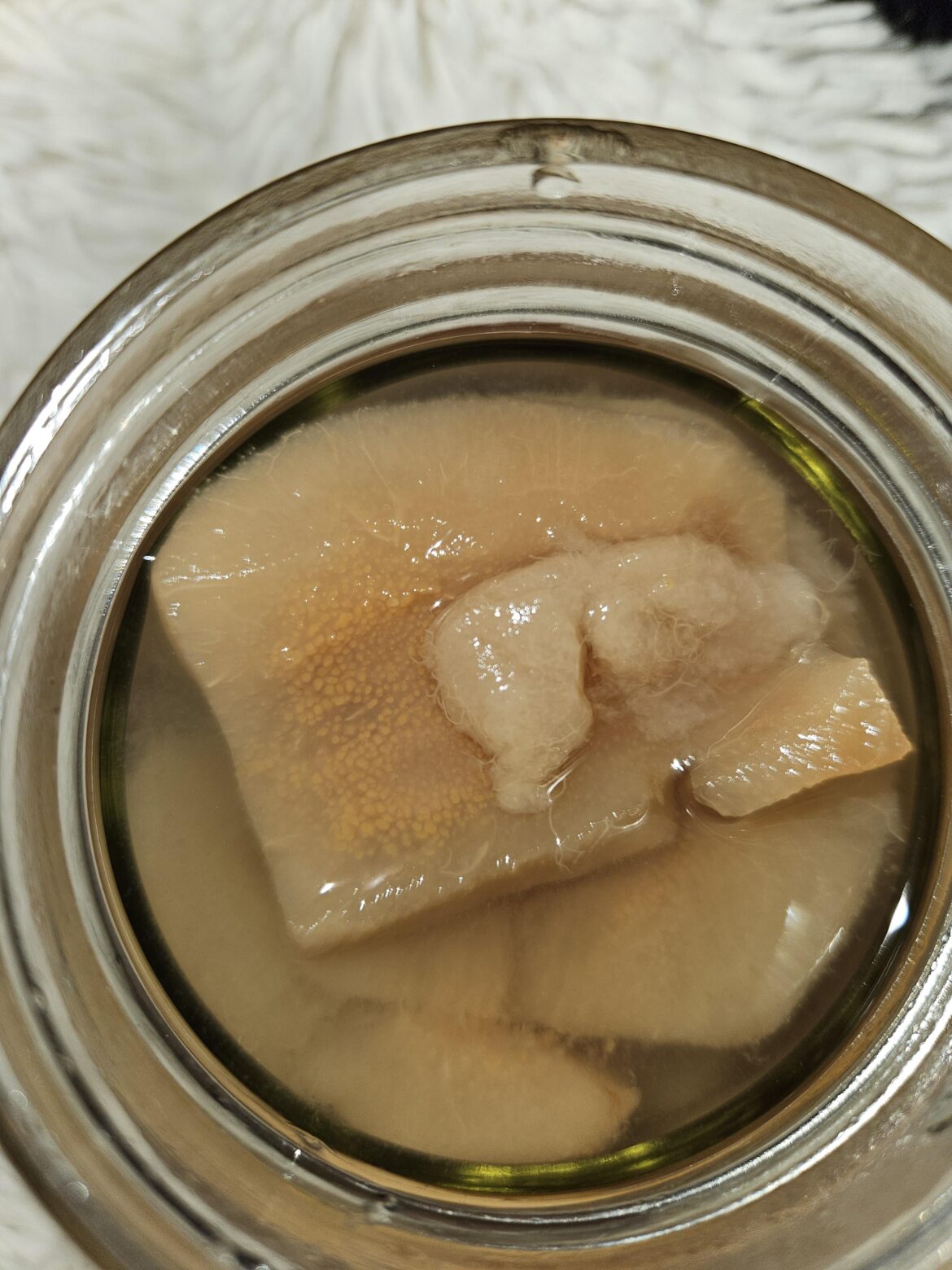 Orange spots on home canned pears