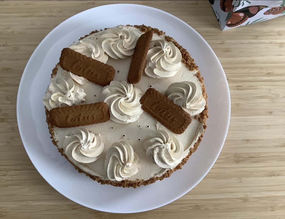 My foster mom made this cake for my birthday yesterday. I think it looks great.