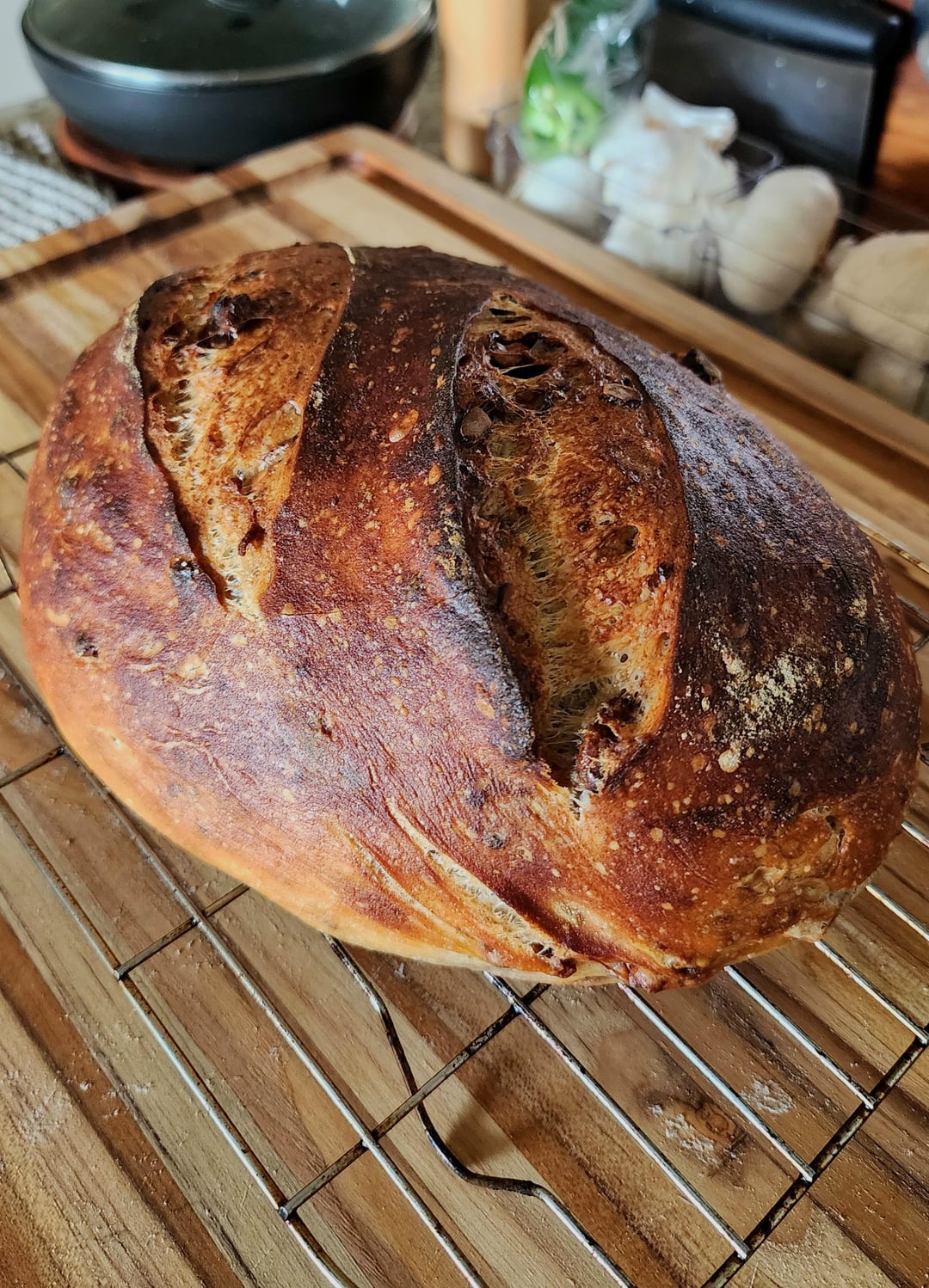 Walnut Levain FWSY Dining and Cooking