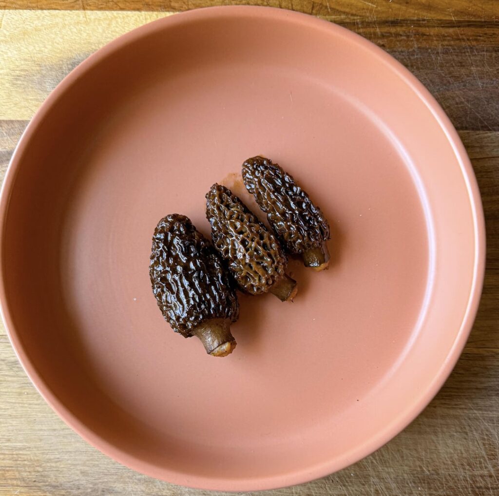 Stuffed Morels, Chicken Mousse, Onion Demi, Dill Vinegar, Chives