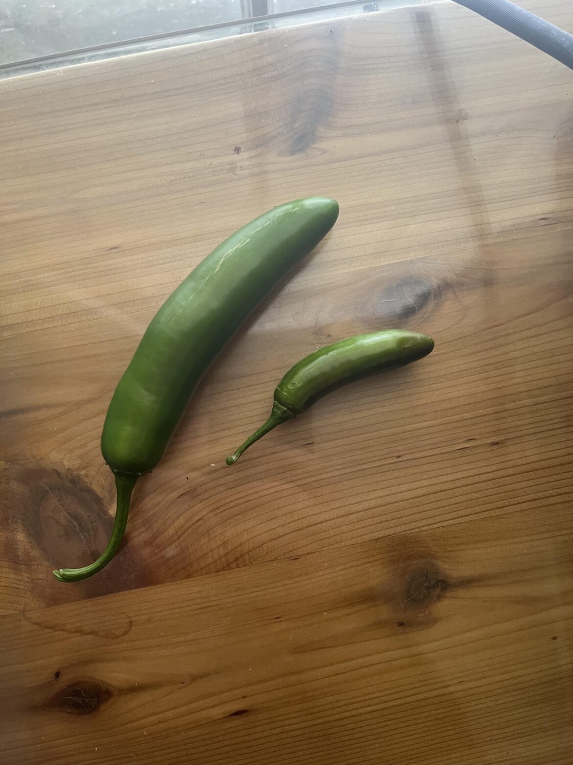 A traditional Serrano(bottom) vs. the hybrid Pathfinder Serrano on top. Both with corking.