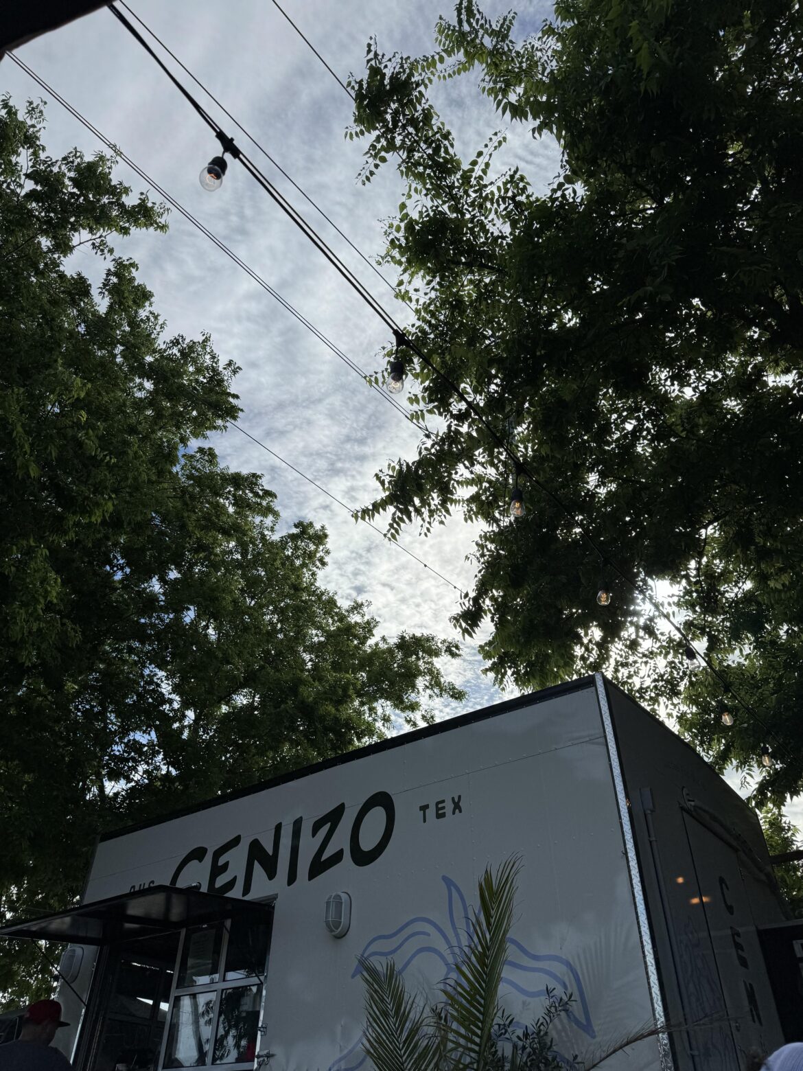 Tree House Food Park on Colton Bluff Springs is INCREDIBLE (SE Austin) Tree House Food Park on Colton Bluff Springs is INCREDIBLE (SE Austin)