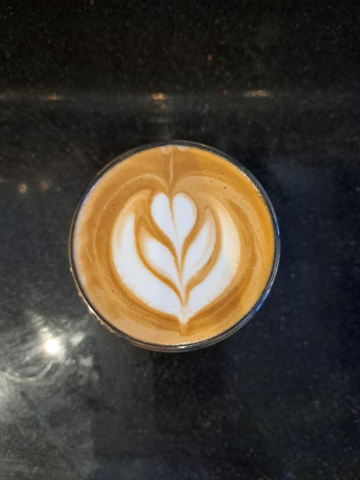 Cute Little Cortado