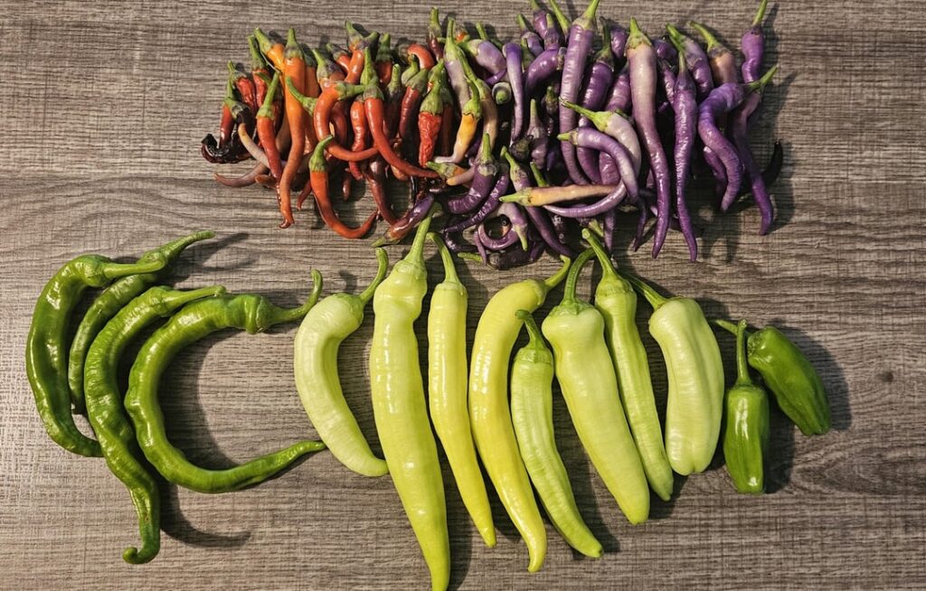 Anyone Else Love Peppers?