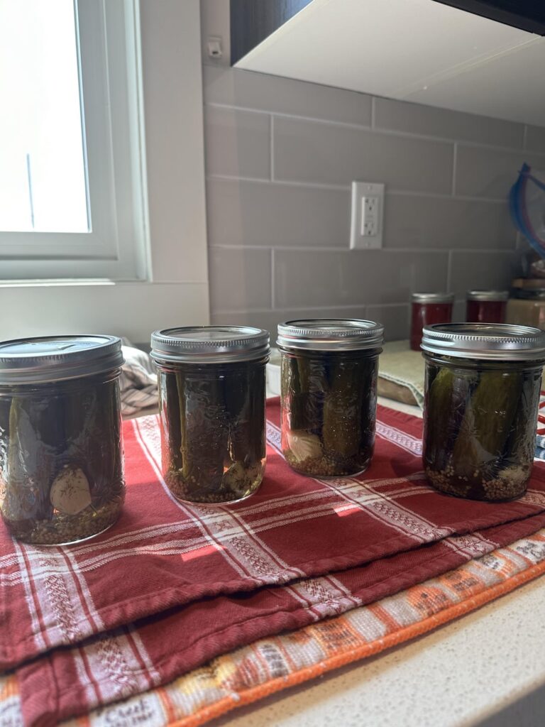 Pickle herb substitution / did I mess up?