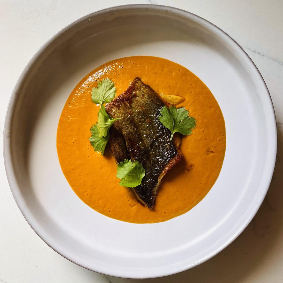 Kerala style fish stew with black cod