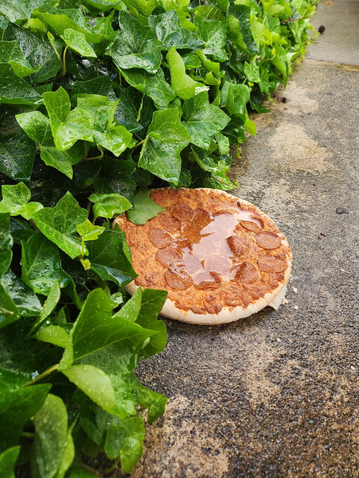 Not sure what happened here, but a crime definitely occurred