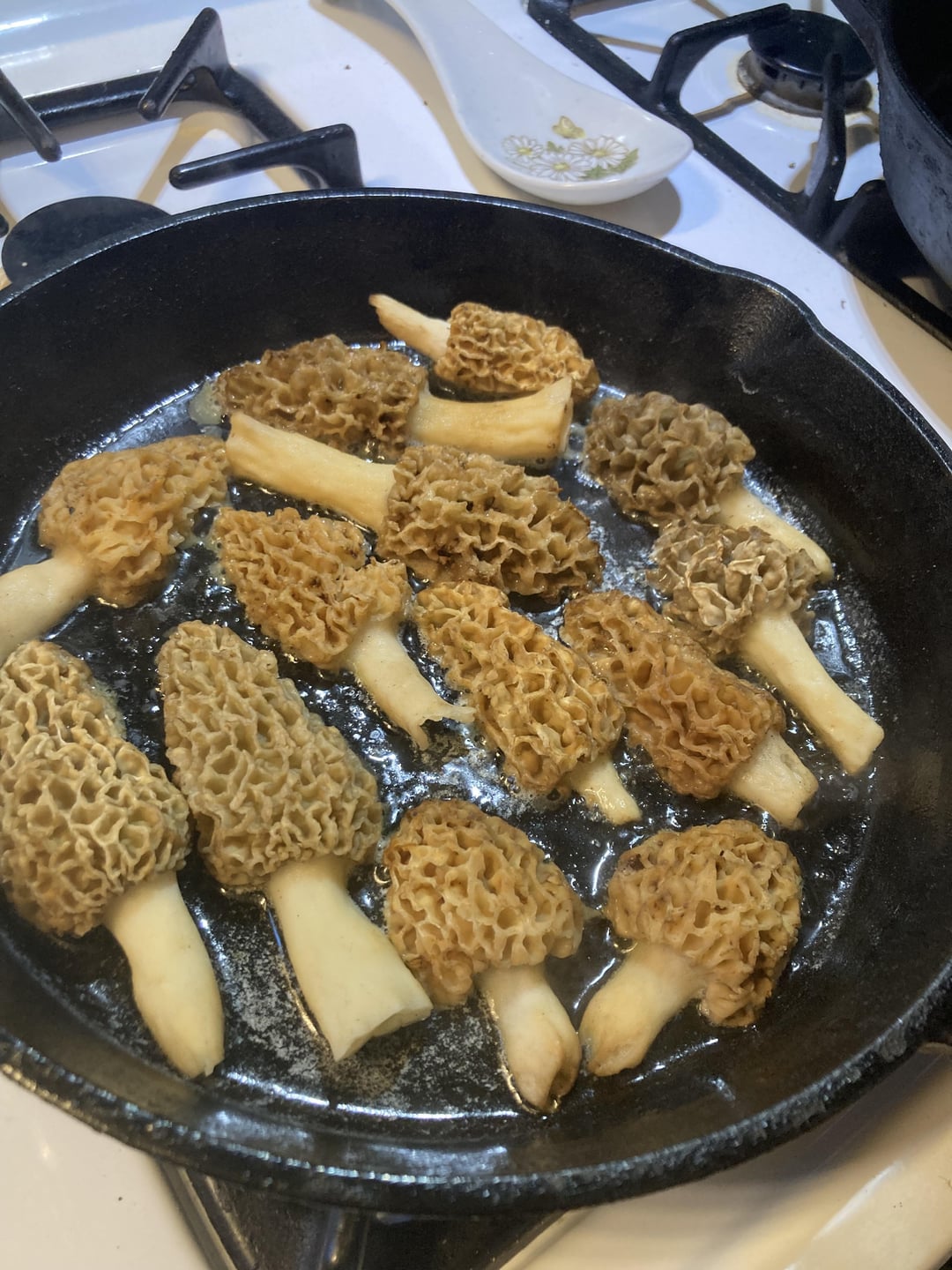 [I ate] butter fried Morel mushrooms and toast. Dining and Cooking