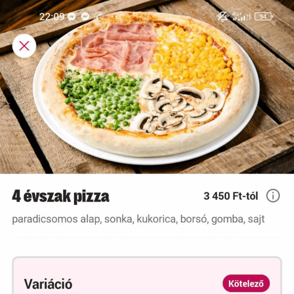 Four seasons pizza in Hungary....