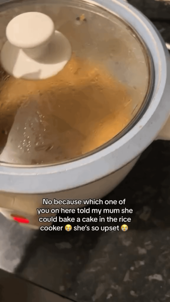 Rice cooker cake