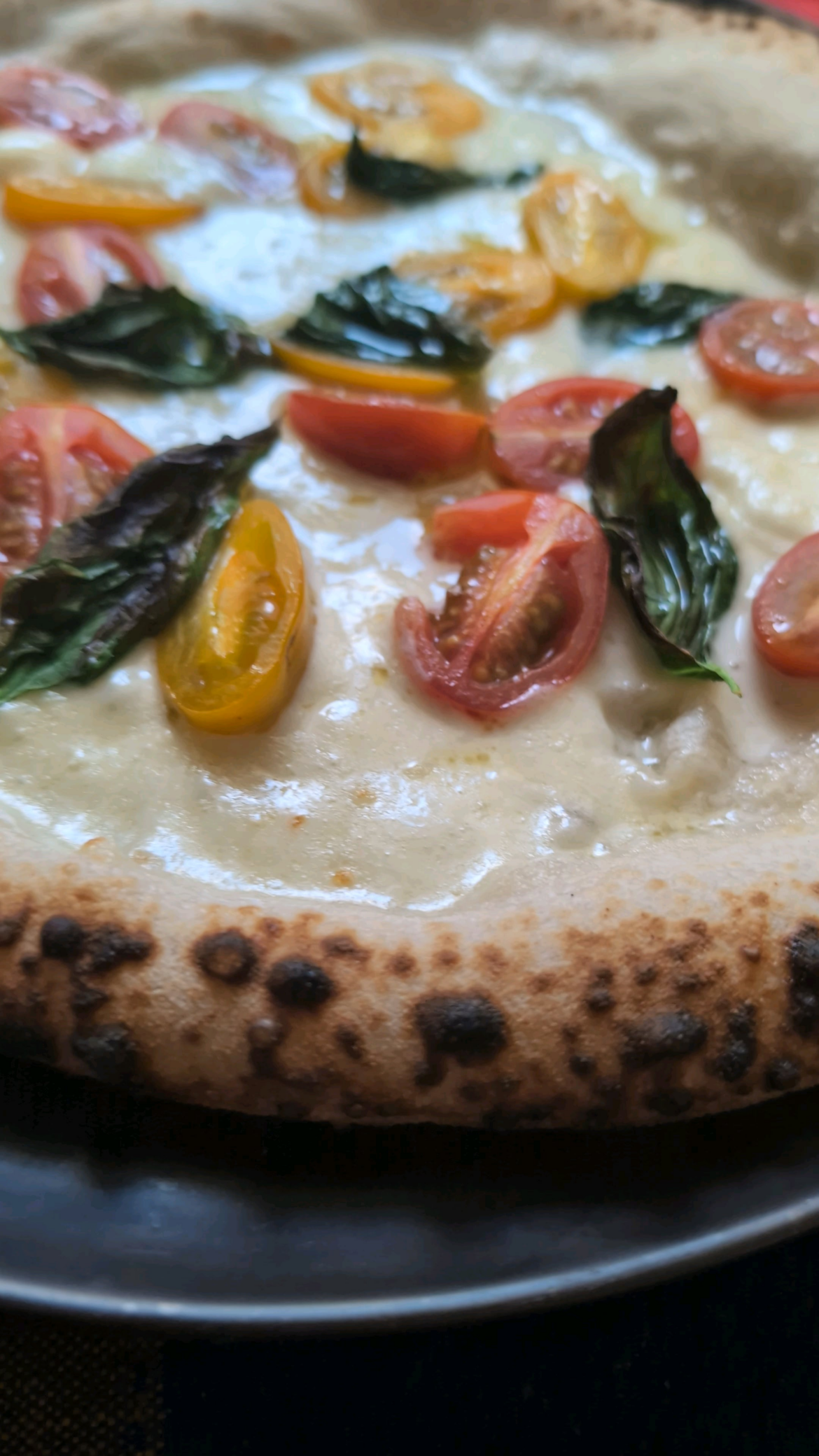 Upsidedown "Margherita". 62% hydration.