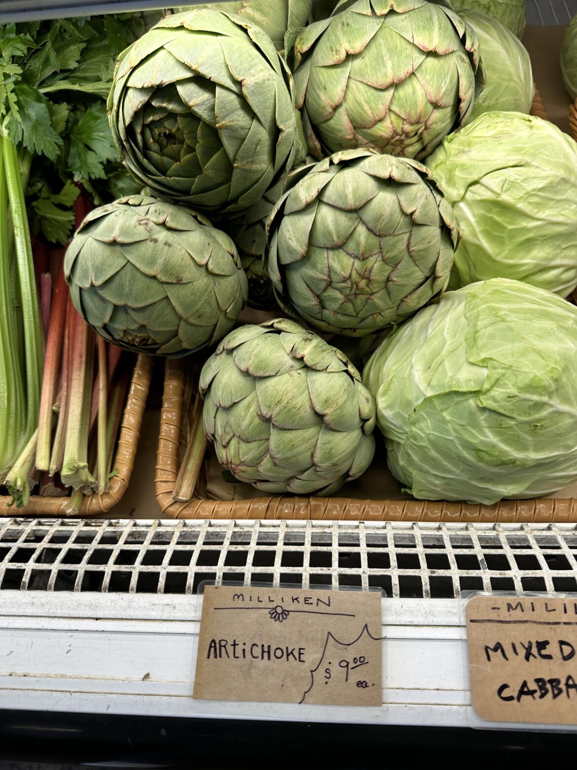 Hate to Keep Beating a Dead Horse BUT...