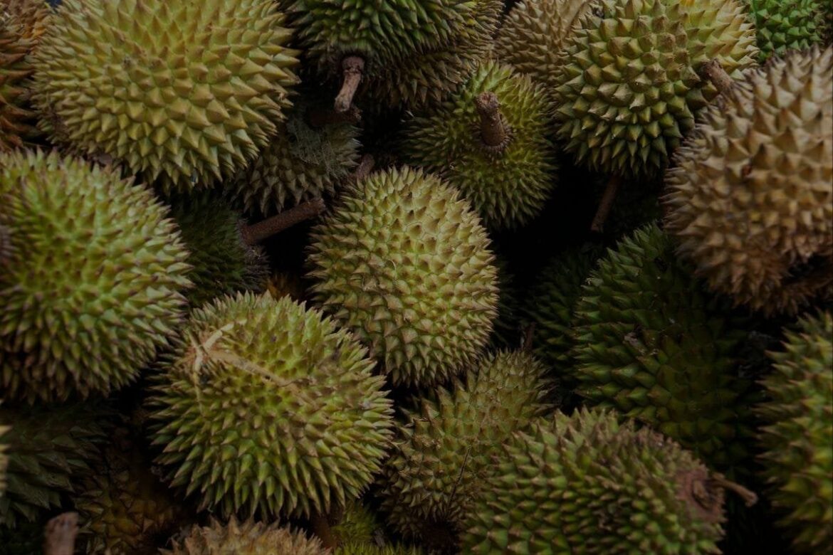 What’s the world’s most disgusting food?