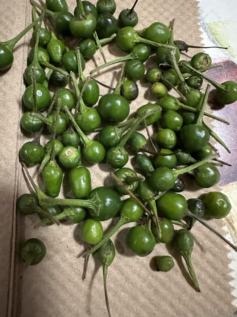 What peppers are these