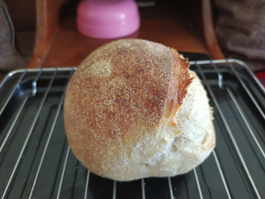 My first successful sourdough! My first successful sourdough!