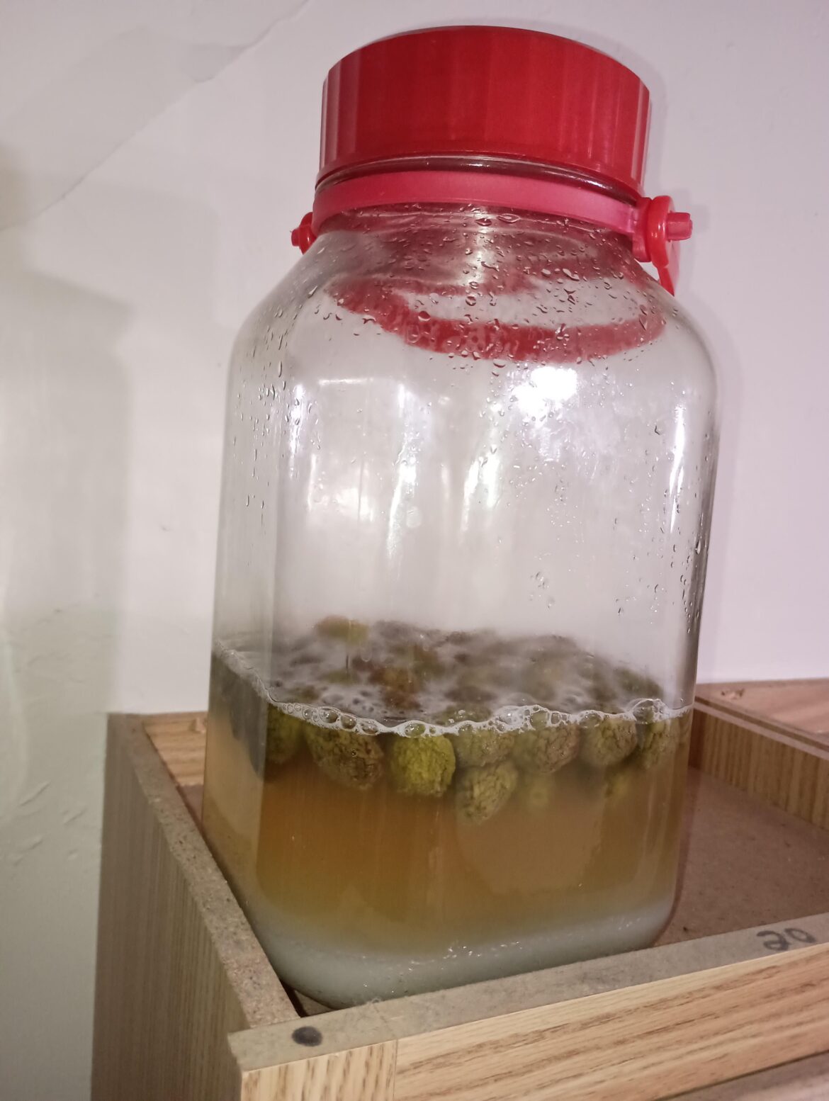 Should my maesil cheong look like this?