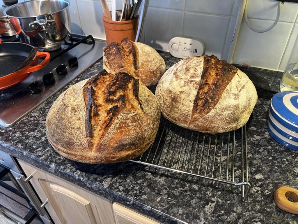 Help, I can’t stop making bread
