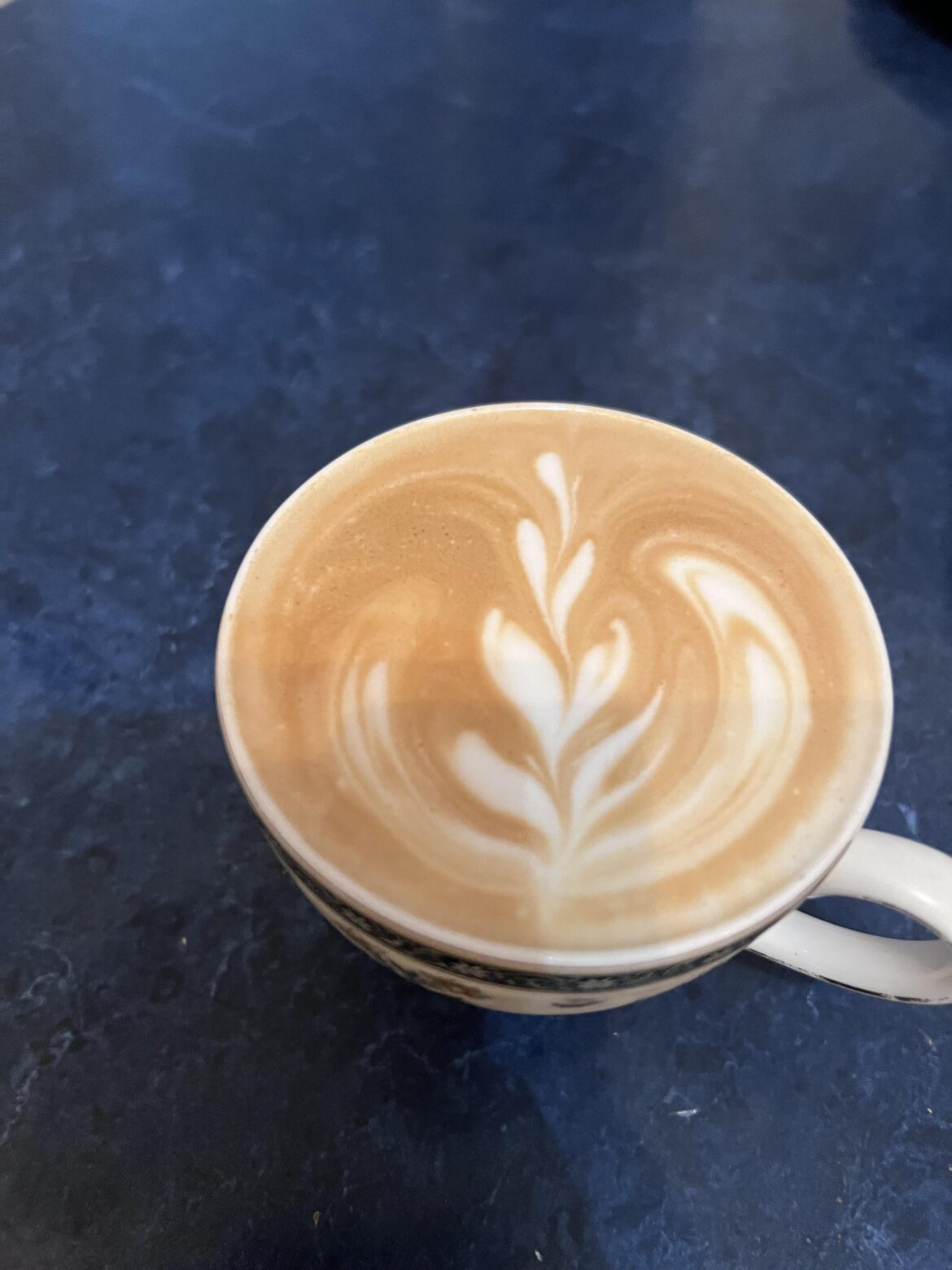First time trying to "steam" milk with a french press