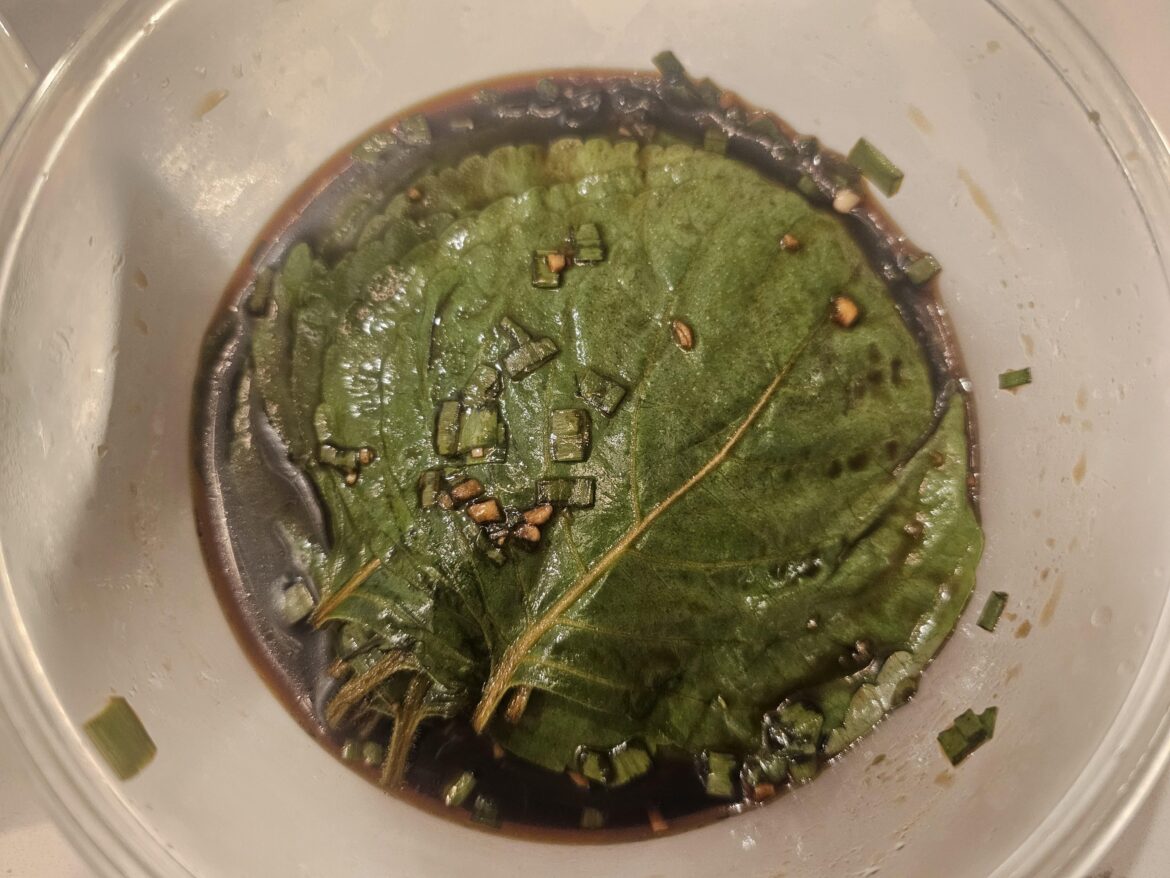 Thanks to the user that posted their kkaenip yesterday!