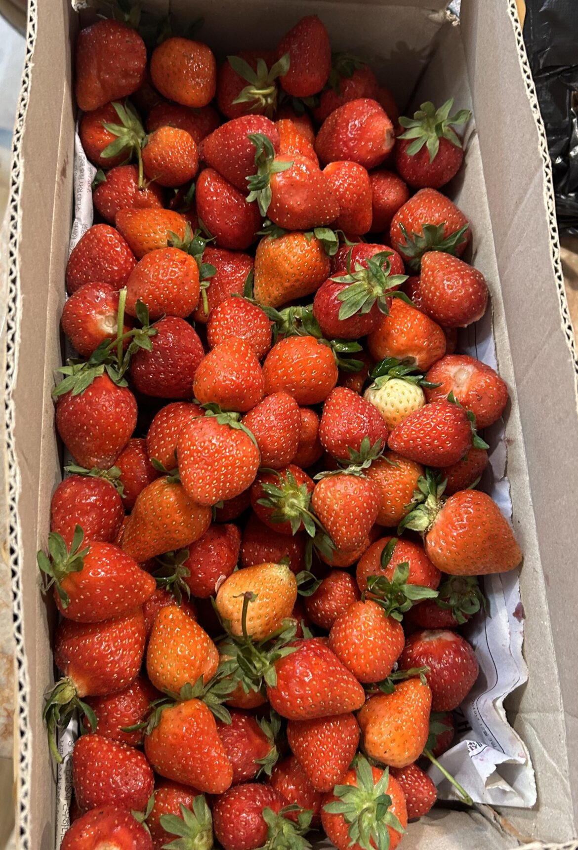 I eat around 1500calories a day,is it unhealthy and can it lower testosterone levels