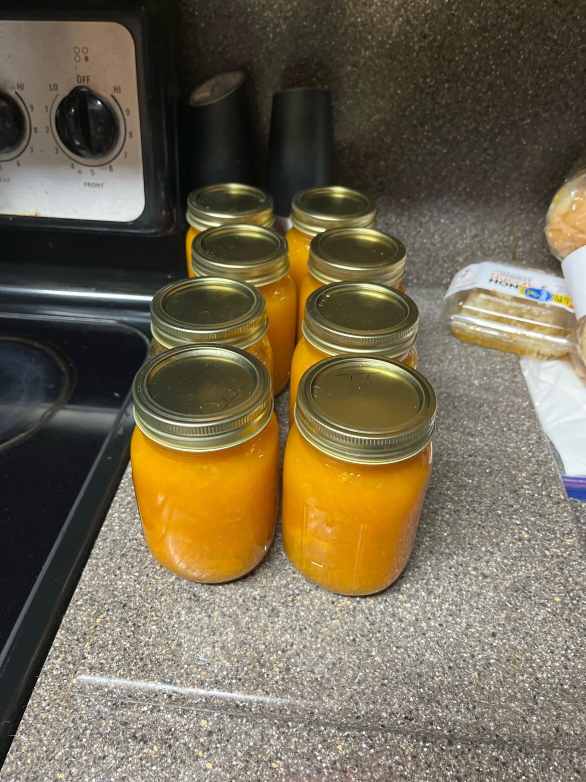 Any advice for a fix?